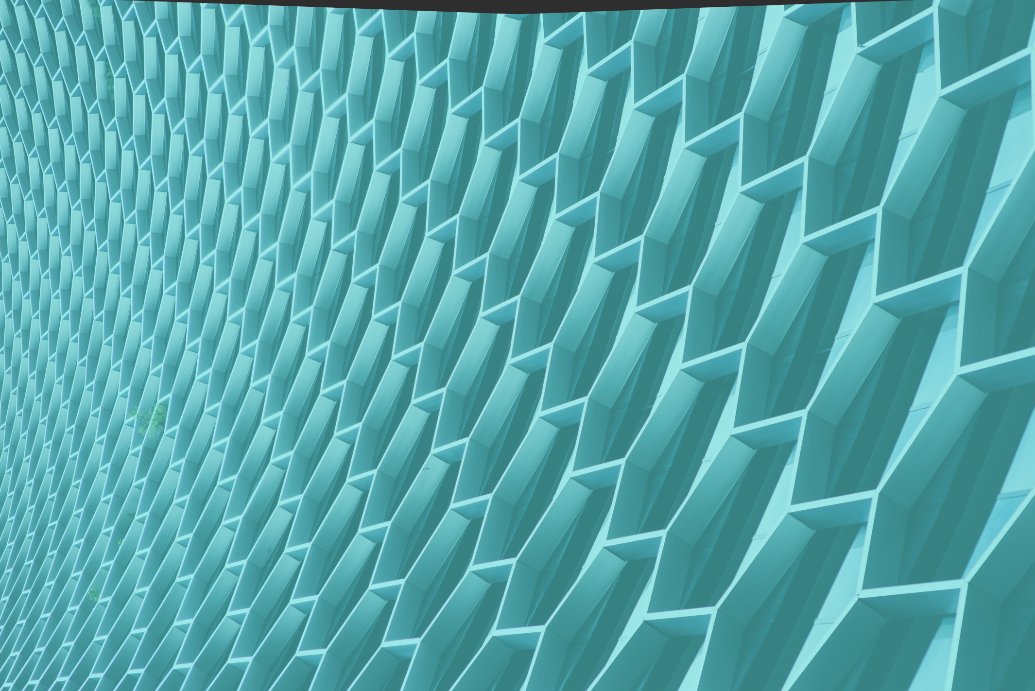 nt_1_con_transparencia
