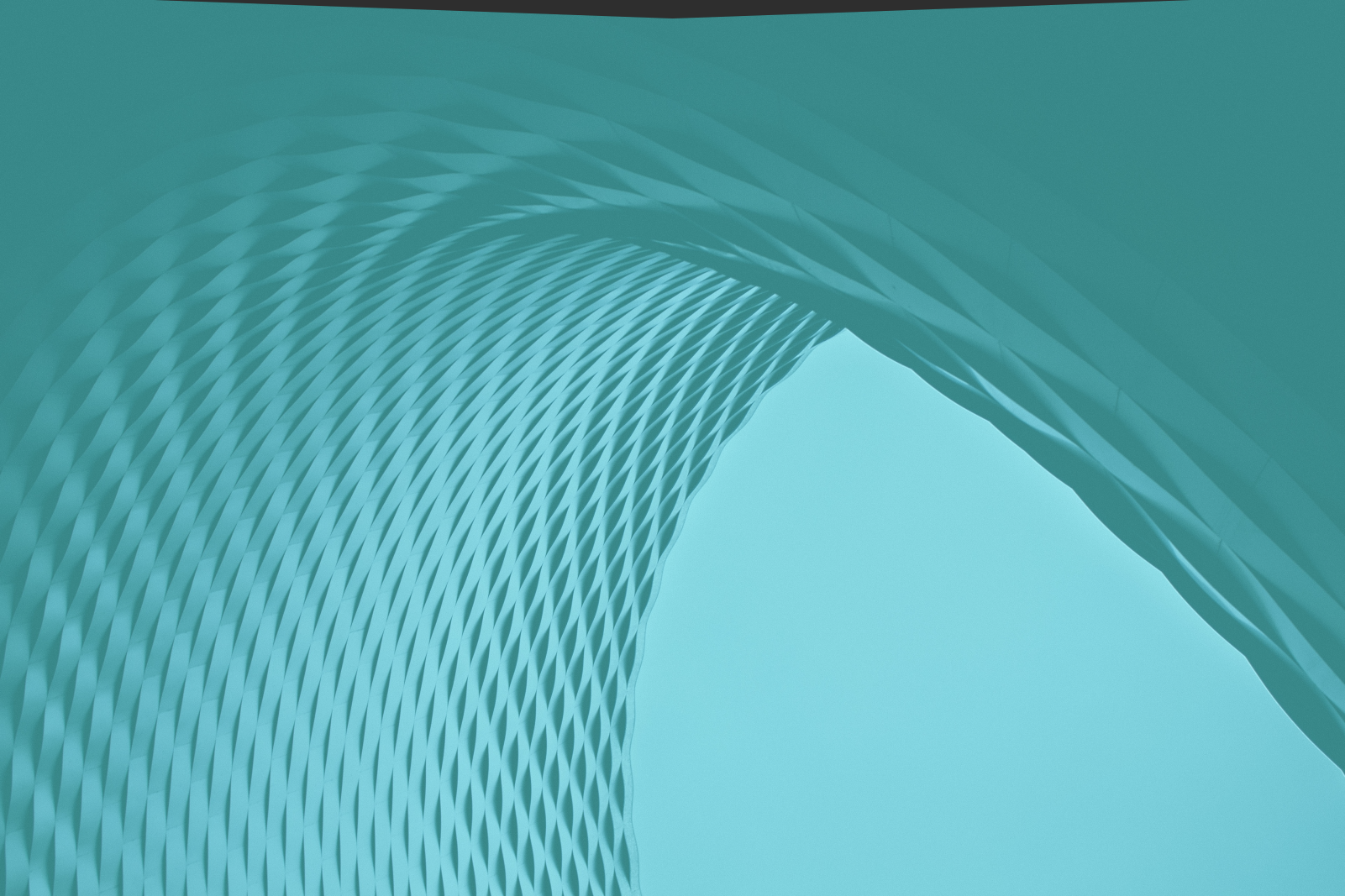 nt_5_con_transparencia